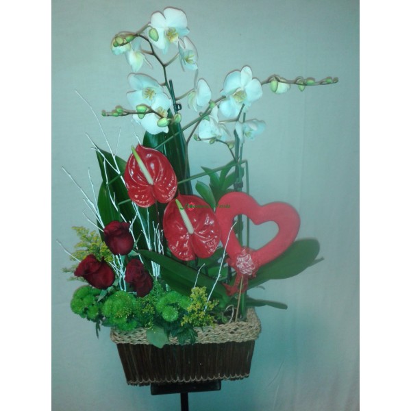 cesta orquidias,anturiun y rosas