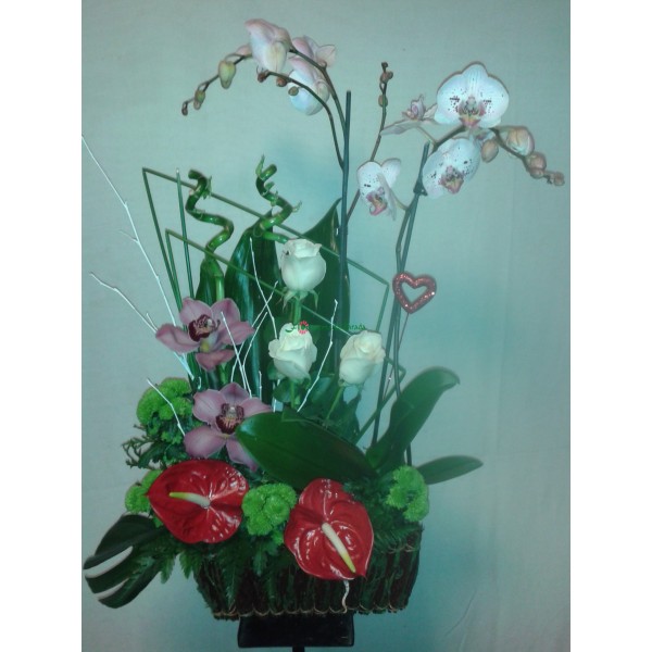 cesta rosas y orquideas