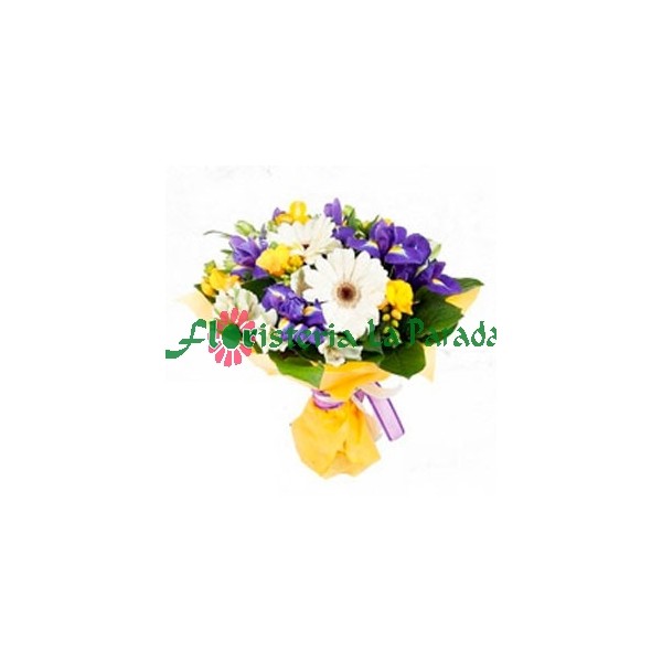 Bouquets de Iris