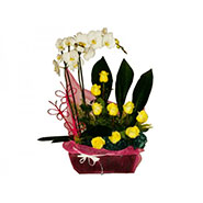 Comprar, envio, encargar,Centro Orquideas y Rosas